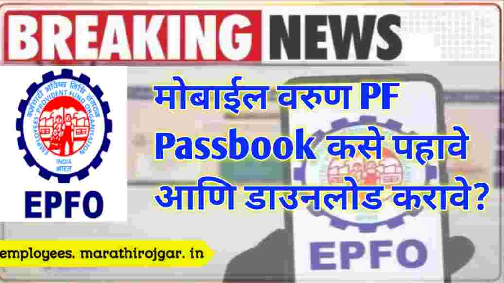 compressed 20241229 161203 मोबाईल वरुण PF Passbook कसे पहावे आणि डाउनलोड करावे? EPF Balance update